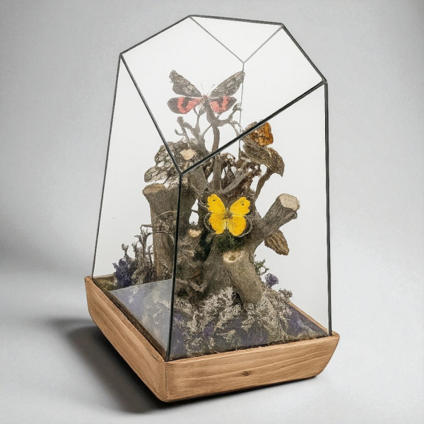 تابلو رومیزی مدل پروانه کد 1898، مجسمه بسیار زیبا چند ضلعی طرح پروانه با متریال چوب روس، زیبا کننده هر میز و هر سطحی، هدیه ای مناسب برای خانم ها