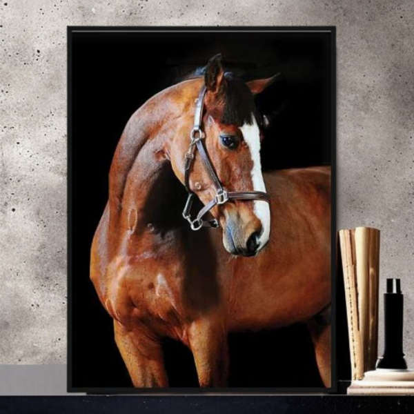 تابلو دکوراتیو شاین کد 202427، تابلو دکوراتیو با تصویر لمینت شاینی، متریال پی وی سی قاب، تابلو زیبا و جذاب با کیفیت فوق العاده و قابل شستشو، طرح اسب قهوه‌ای