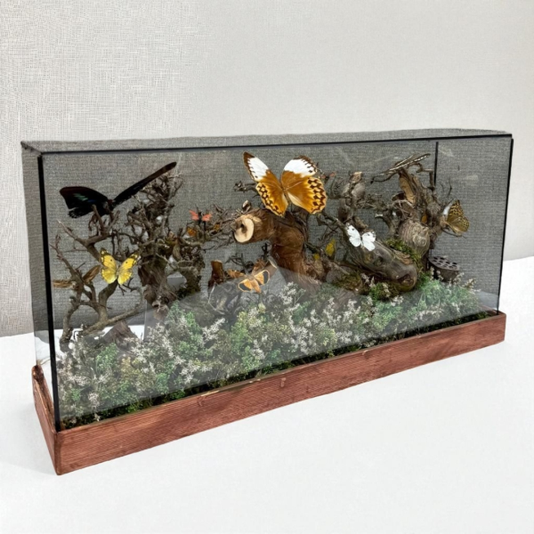 تابلو رومیزی مدل پروانه کد 4180، مجسمه بسیار زیبا مستطیل سایز بزرگ طرح پروانه با متریال چوب روس، زیبا کننده هر میز و هر سطحی، هدیه ای مناسب برای خانم ها