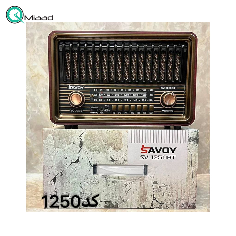 رادیو کلاسیک شارژی مدل X20